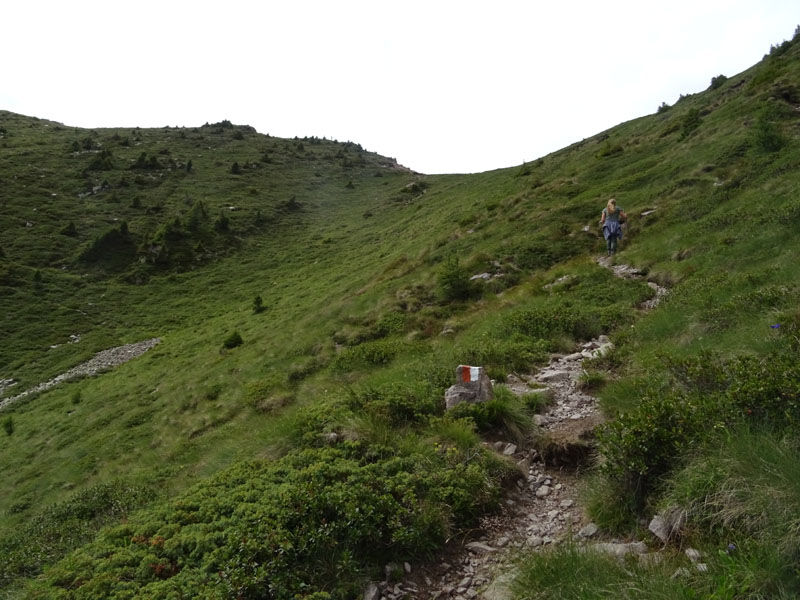 Catena dei Lagorai...da Pergine al Passo del Manghen